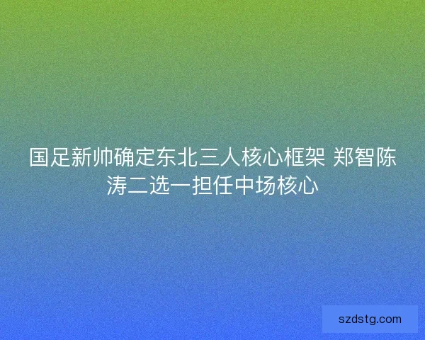 国足新帅确定东北三人核心框架 郑智陈涛二选一担任中场核心